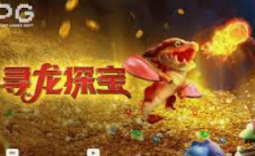 大小单双导师带赚包赔2024最新版