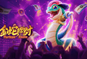 大小单双导师带赚包赔2024最新版