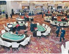 大小单双导师带赚包赔电脑免费版