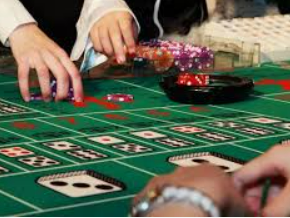 大小单双导师带赚包赔正式版